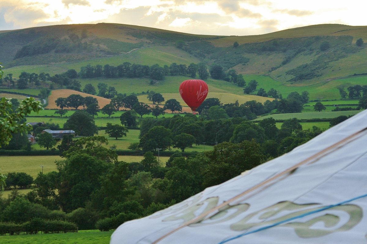 Barnutopia tweet media