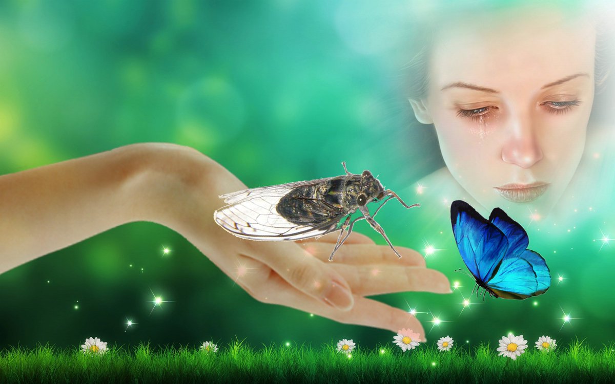 セミが鳴いている

　七日限りの
　　命を込めて

　　　精一杯鳴いている

最後の力を振り絞り

　私達に
　　何かを教えてる

じっと待って

　力が育ち
　　時が来たら

　　　力いっぱい

　　　　羽ばたけと…

　 　　　～セミの詩～