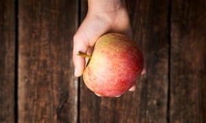 DrKurtBeil's tweet photo. Organic produce found to contain millions of probiotic bacteria, beneficial for so many things.  Conventional produce laced w/ pesticides has none of these, in addition to having toxic chemicals.  #organic #organicfood #probiotics #eatorganic #naturopathic https://t.co/4EtXJ9tofS https://t.co/dddW5gf2YW