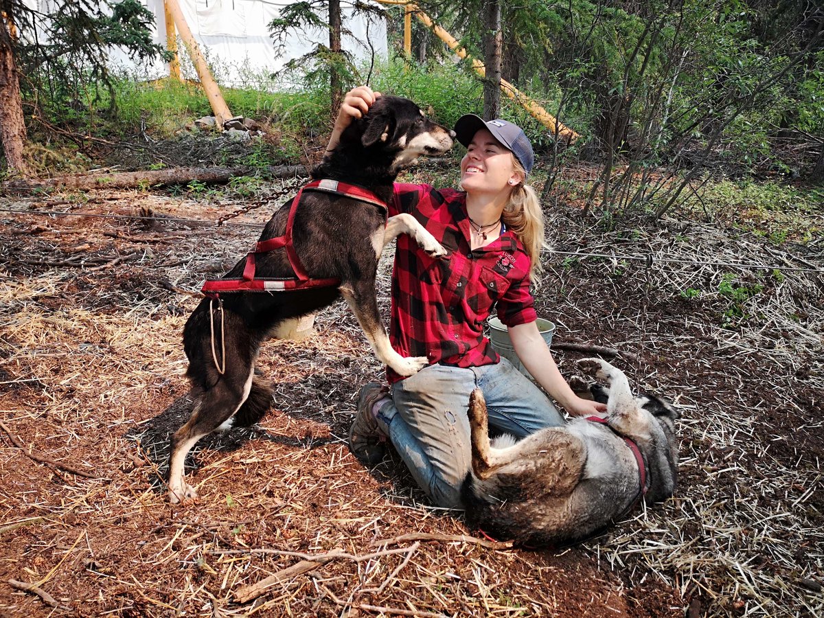 CaribouCrossing's tweet photo. Putting dogs first is our main goal here at Caribou Crossing. We are proud to base our daily tour around the needs of the dogs and we refuse to risk their safety and well being in extreme weather. 

#Carcross #CaribouCrossing #VisitYukon #VisitSkagway #Husky #PuttingDogsFirst https://t.co/k7cu6X29Cd