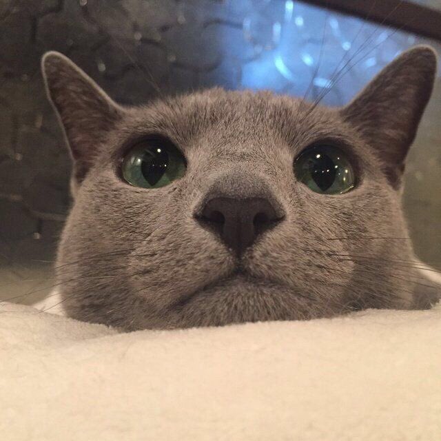 picskz's tweet photo. https://t.co/rT7MX16yfz