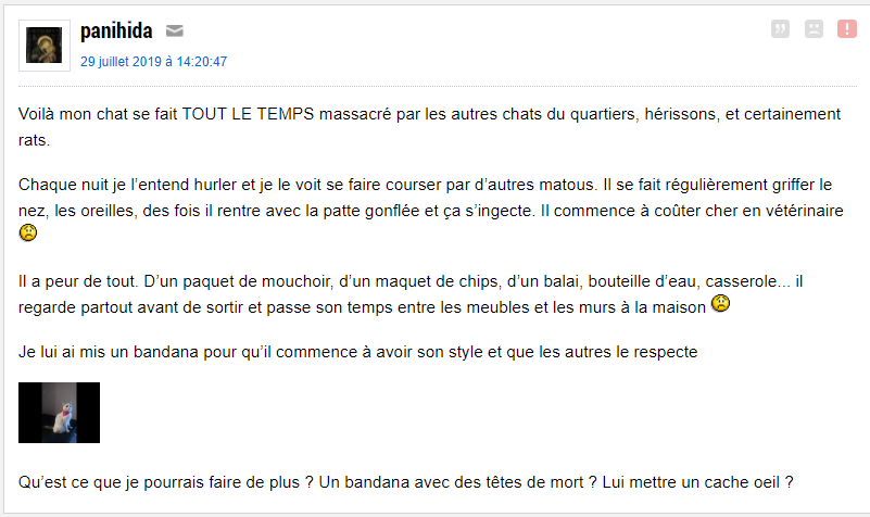 JohnYabuki91's tweet photo. J'apprend a mon chat a etre craint https://t.co/iAVMtrZUau