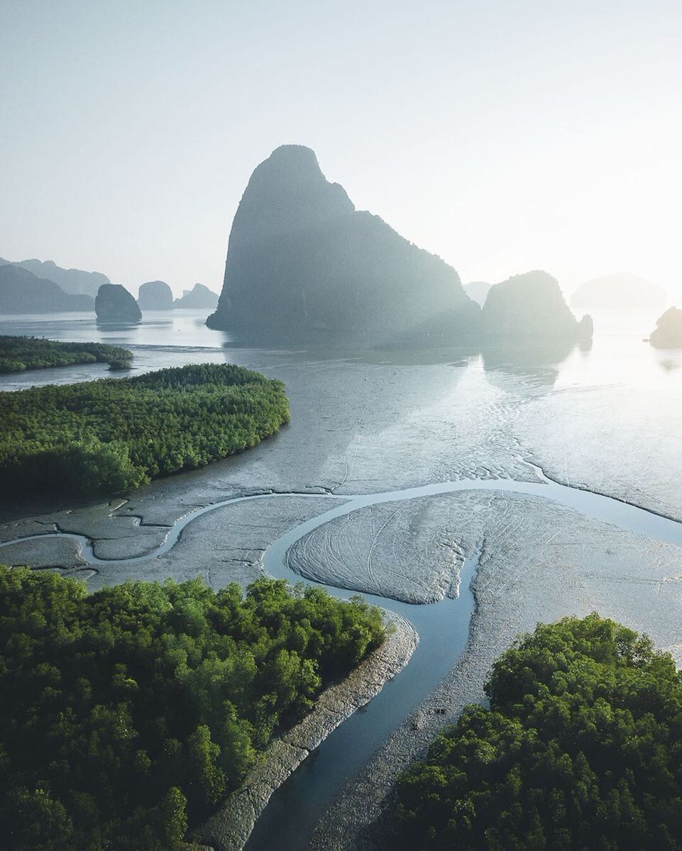 Wild Earth tweet media