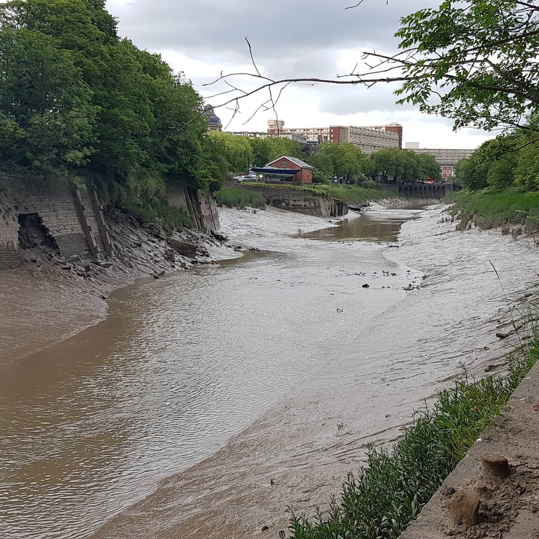 Some of the finest mud in world and great source of electroactive bacteria, thank you River Avon! #mud #geobacter #microbialfuelcell #riveravonbristol @bristolhackspc <a href="/BrisBioHack/">BristolBioHack</a> #MakerSpace