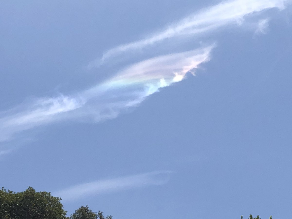 steve_j_palmer's tweet image. So this weird rainbow cloud formed overhead a couple of hours ago around Studio City. Fascinating. 🖖 #weathernerd #summerview #scienceisawesome