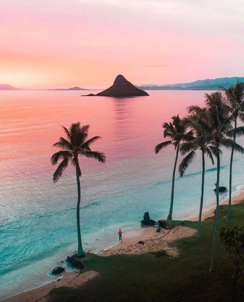 smirnov_ty's tweet photo. 📍 Hawaii https://t.co/bfGdZ9aHhr
