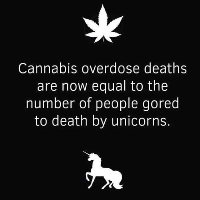 Meanwhile in Canada... Safe to say legalization is going pretty well...
