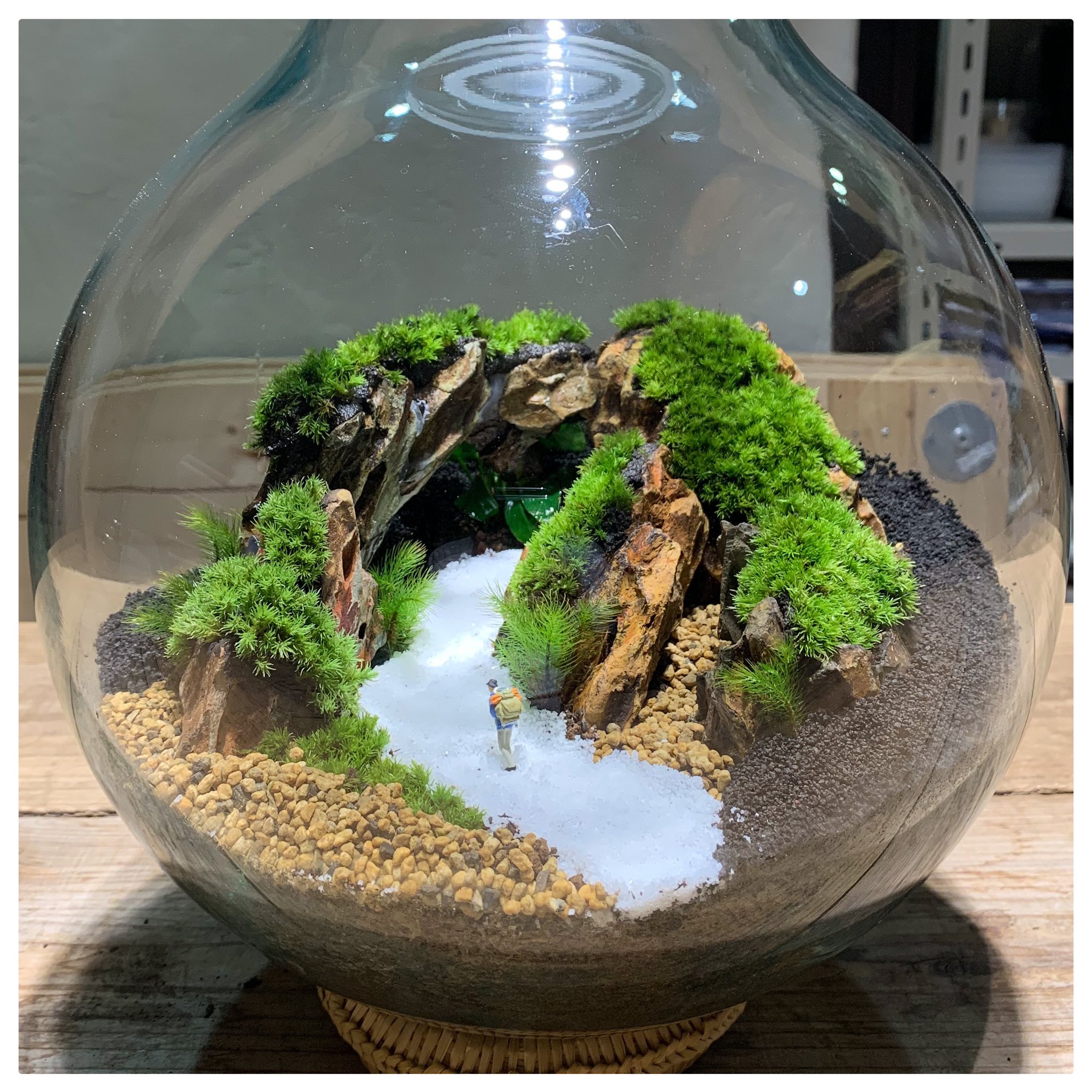 تويتر Feel The Garden على تويتر 苔のテラリウム10ℓフラスコでの作品例 ワークショップを清澄白河 杉並 埼玉志木で定期開催しております お申込みはプロフィール欄のリンク先からお願い致します Feelthegarden 苔のテラリウム テラリウム ワークショップ