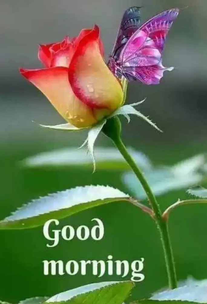 Ranithevi1's tweet image. 