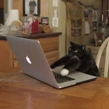 #TheBacheloretteFinale #TheBachelorette 

Me booking my delta ticket knowing Peter is single now