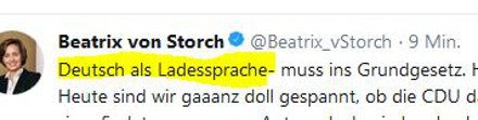Harry__Klein's tweet photo. @_lakra_ Das liebe ich auch, aber im Gengre "unfreiwilliger Wortwitz"  wird die AfD auf Zeiten wohl unschlagbar bleiben!
#AfDWitze #NoAfD #NoNazis https://t.co/BOStDp5Tk9