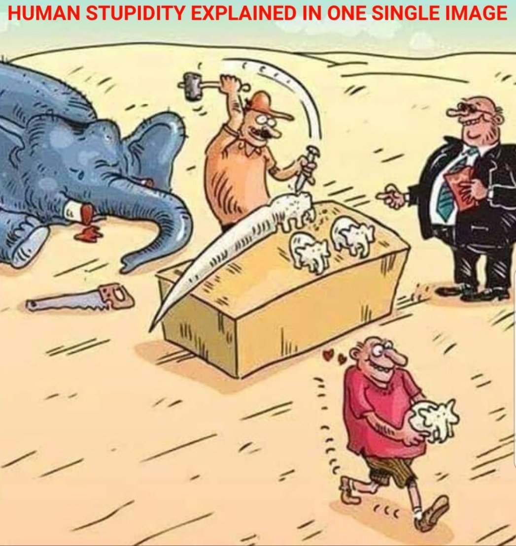 PROTECT ALL WILDLIFE tweet media