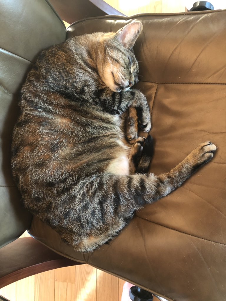 KeitherKeith's tweet photo. 🌟💢💢🌟💢💢🌟💢💢🌟
Monday. DONE.
Told ya so.
Sleep well.
#KeithKnowsStuff
🌟💢💢🌟💢💢🌟💢💢🌟 https://t.co/Ec89dULiyh