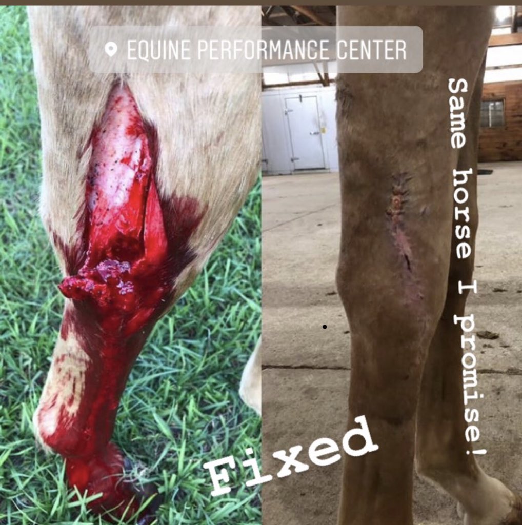 Alberto Rullan tweet media