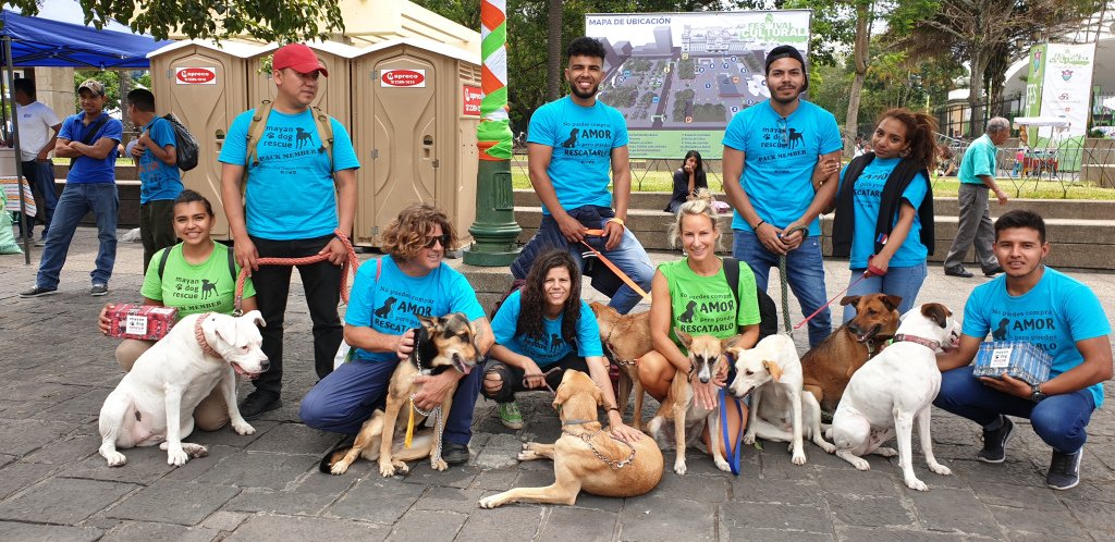 ROMSTAR29's tweet image. Kids + Dogs = Love travelromps.wordpress.com/2019/07/30/kid…