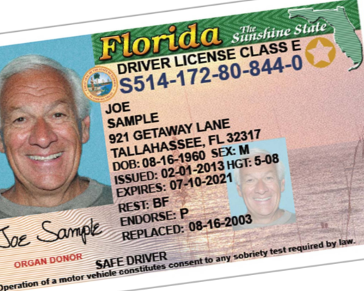 FloridaDaily.com on X: Florida Drivers Licenses for Illegal