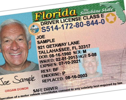 Immigrants in Florida illegally could get driver's licenses under