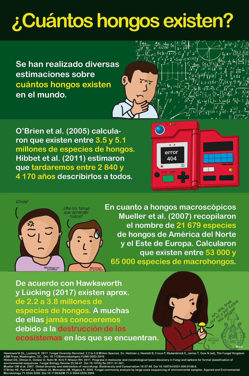 SMxMicol's tweet photo. Falta mucho trabajo por hacer.
#Hongos https://t.co/HxIioZOwOO