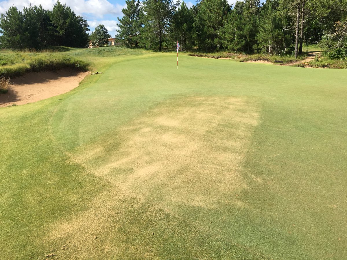 Patrick Bean tweet media