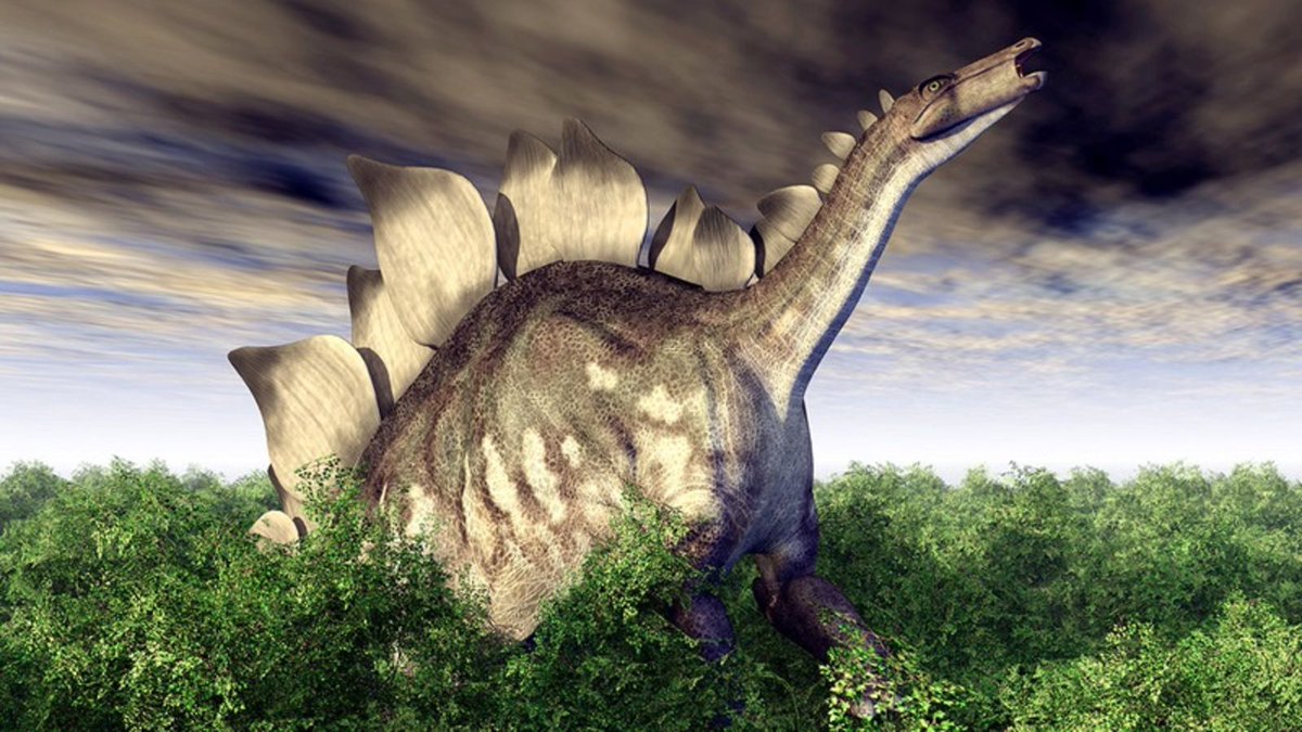 Groundbreaking Discovery: Paleontologists Have Agreed To Start Saying That Stegosauruses Had Beautiful Singing Voices Because It’s A Nice Thought And It’s Not Like They’re Hurting Anyone clckhl.co/F9974AB