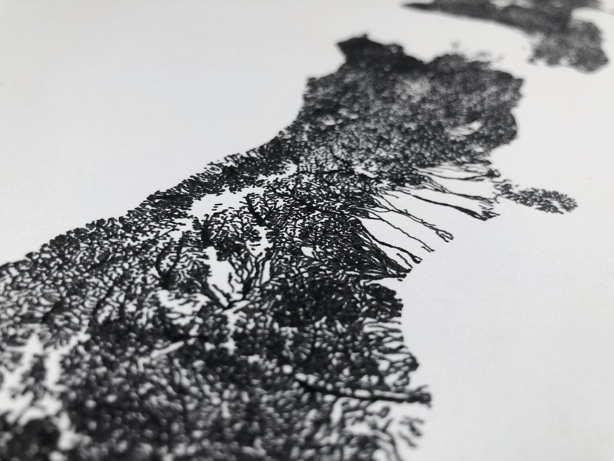 __lw's tweet photo. Rivers of New Zealand. 🇳🇿 #plottertwitter https://t.co/odkRGr3Edi