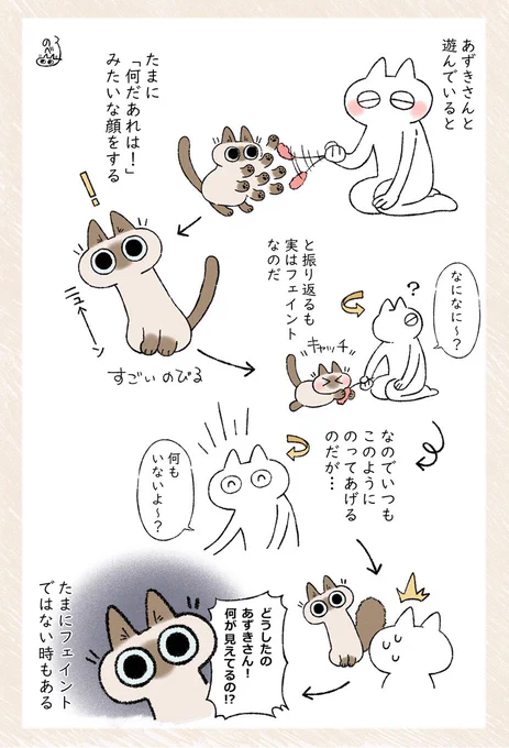 怖いからやめて…… #ねこ日記 