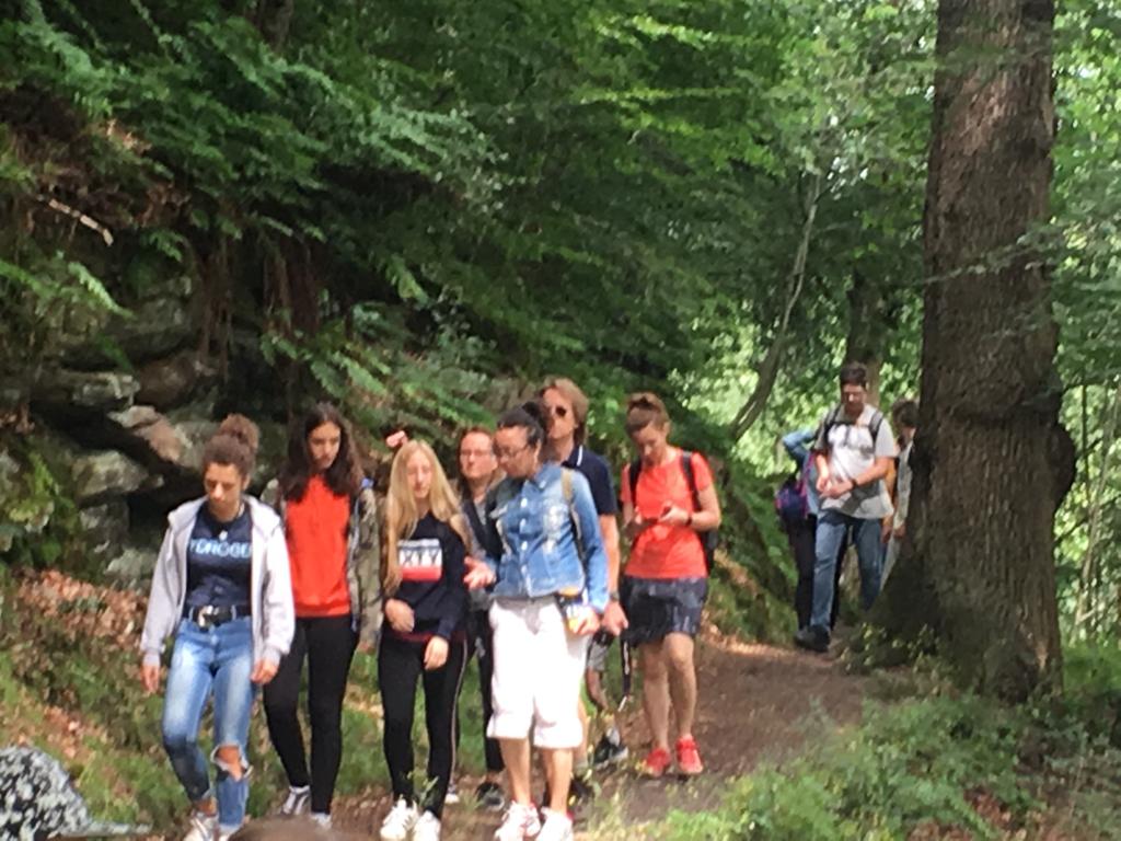 eurociu's tweet photo. #EuropeanFriendshipWeek 
We went for a beautiful walk through some ancient woodland and then finished off our journey on a steam train. A beautiful sunny day doing lovely relaxing things with friends with #CochlearImplant!
#CochlearImplantUsers Hike! https://t.co/zKBndQnduu