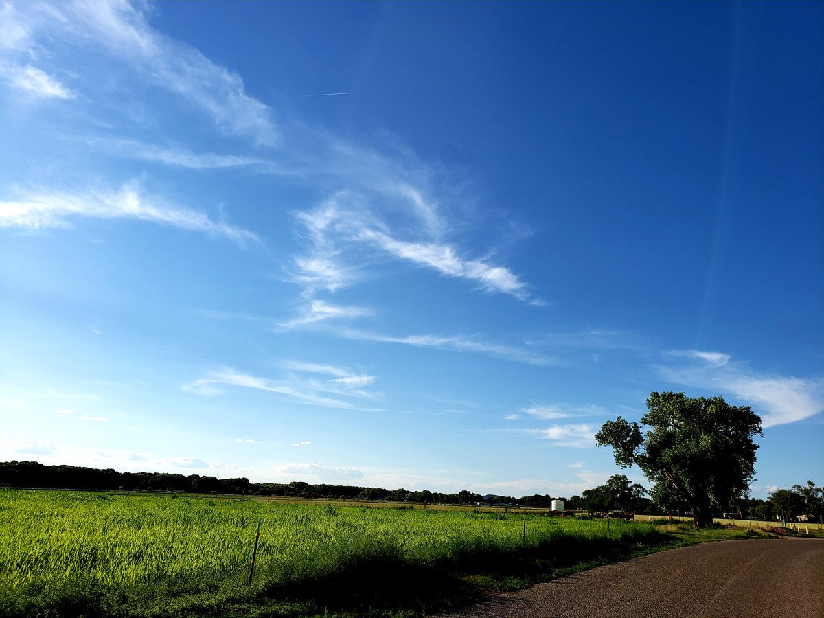 lwhitener's tweet photo. #NewMexico #nmtrue #BosqueFarms https://t.co/ACDZGUuzdh