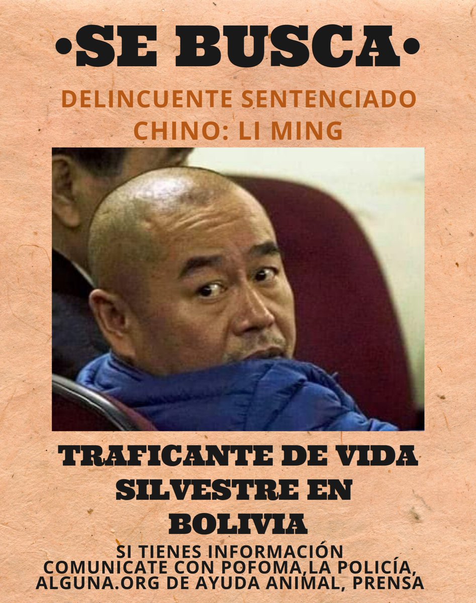 Aplabolivia's tweet photo. #SE #BUSCA🔴
Li Ming ciudadano delincuente.
Si sabe de su paradero llame a la policia✔ , a la prensa✔ y si puede qué mejor registre dónde lo vio con foto o vídeo. ✅
👉Ayude a la vida silvestre. 👉👉Es un delincuente sentenciado.
#ElJaguarEsVidaNoMercancía🐆 https://t.co/68Bmdejlsi