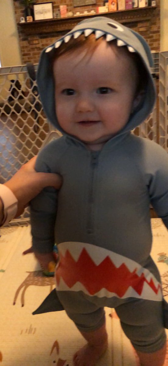 Jamie_Tweedle's tweet photo. @sharkweek I can’t wait to see more sharks this week and learn more about my favorite and most terrifying bull sharks! #sharkweek #sharkafterdark #sweepstake #sharkweek2019 my future shark week **fin** https://t.co/UpsUrAfUrc