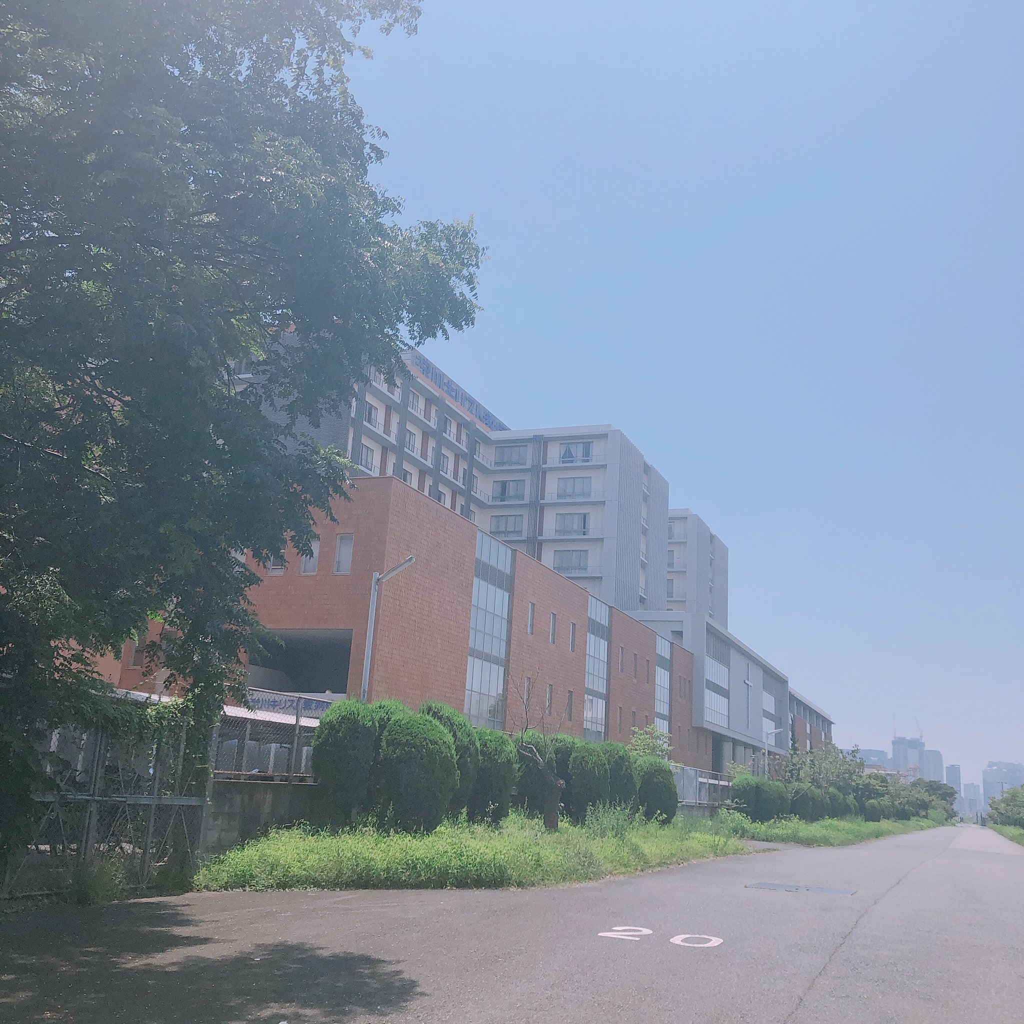 バリウムもういいかな Twitter Search Twitter
