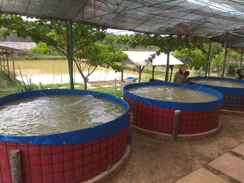 FishFarmTank1's tweet image. For Sale! - Use a fish farm tank to your fish farming business and you can get More Productive, Effective, and Efficient Fish Farming! Get it Now on fishfarmtank.com! #fishfarm #fishfarming #fishfarmtank 😃