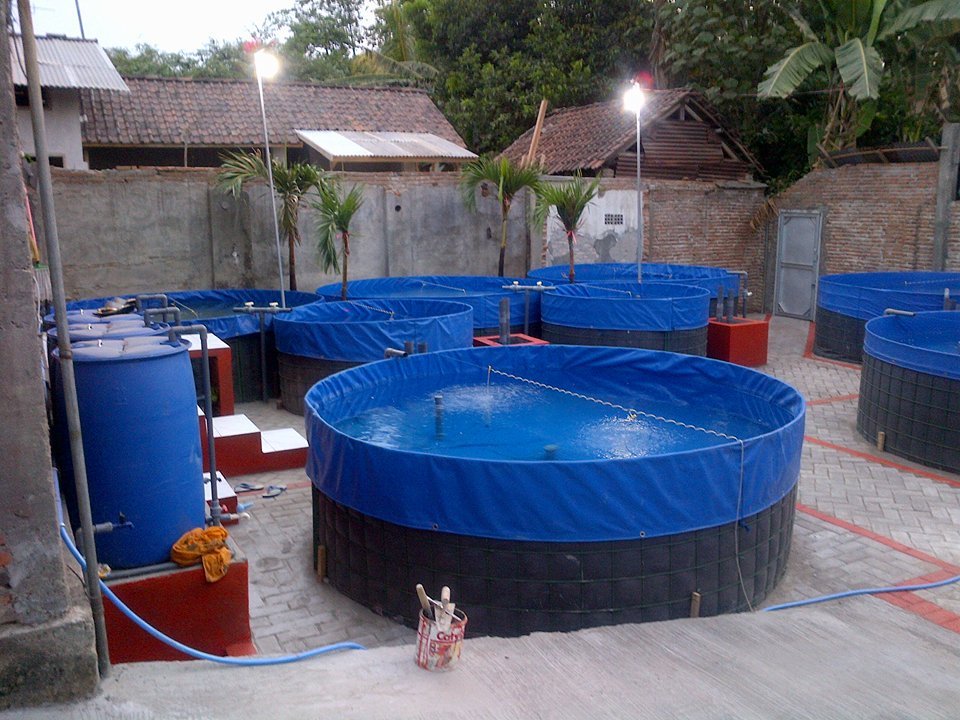 FishFarmTank1's tweet image. For Sale! - Use a fish farm tank to your fish farming business and you can get More Productive, Effective, and Efficient Fish Farming! Get it Now on fishfarmtank.com! #fishfarm #fishfarming #fishfarmtank 😃