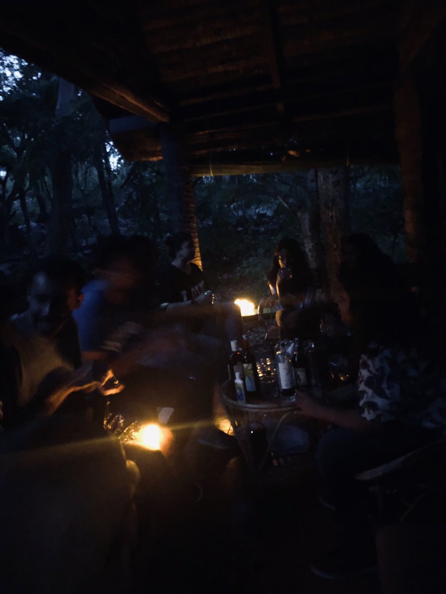 BluebotDigital's tweet image. Bluebot turns 5! So we decided to head out into the woods, switch off our phones and celebrate. Here are some pics from our offsite.