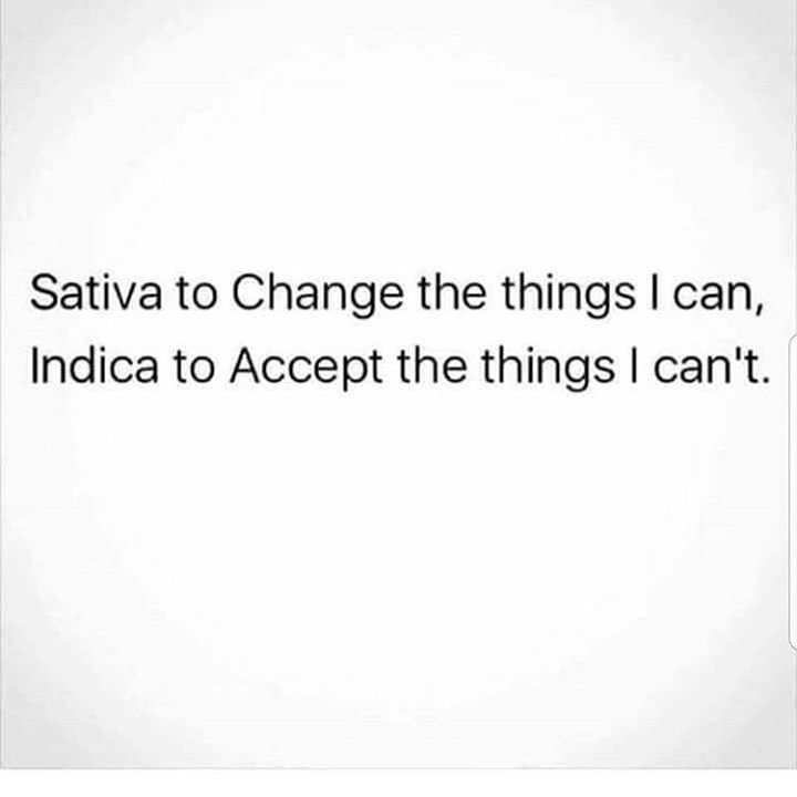 TrappinAssZeke's tweet photo. My daily #prayer 🙏 #stoners #weed #pothead #high #atl https://t.co/RewSOxd4Wl