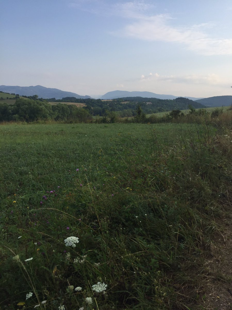 Morning run through the village... perfect time of day... cool, fresh air! Restoring my health / life #balance