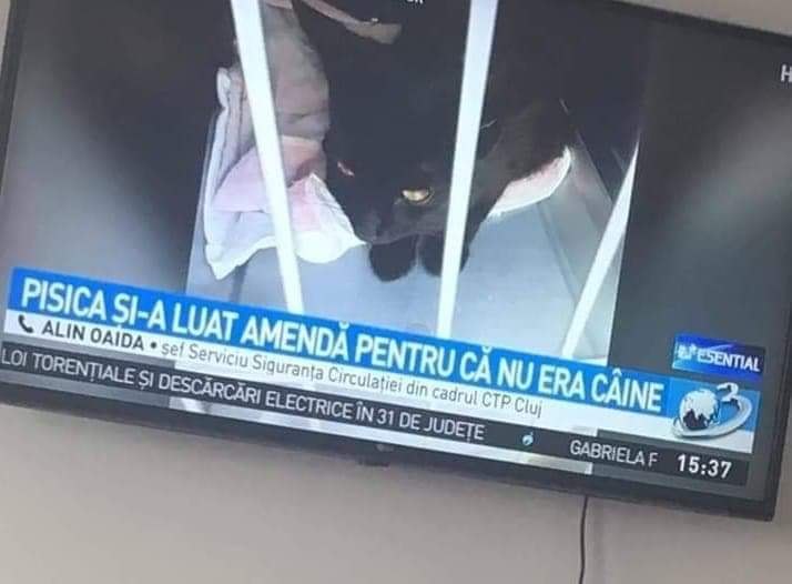 Știrile din Romania.