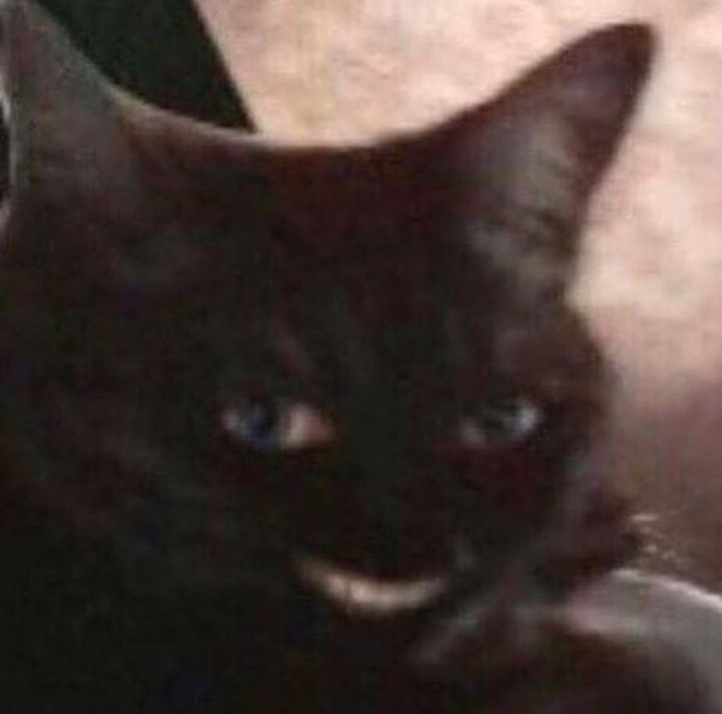 GOSHlKl's tweet photo. I FUCKING SCREAMED HELP https://t.co/ZlvOy7cpd6