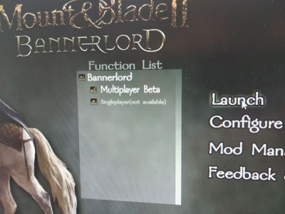 Mountandblade2bannerlord Hashtag On Twitter