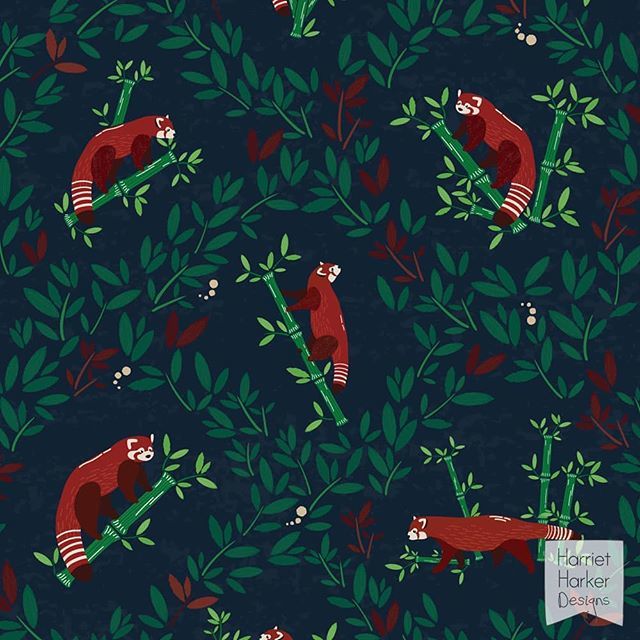 HarrietHDesign's tweet photo. Red Pandas framed in leafy circles 🐼🌿🐼🌿
.
.
#redpanda #panda #patternandprint #patterndesign #artlicensing #surfacepatterndesign #patterndesigners #freelancedesigner #illustrationartist #patternlove https://t.co/Uxe2VSXNkL https://t.co/IqIwqFAXLd