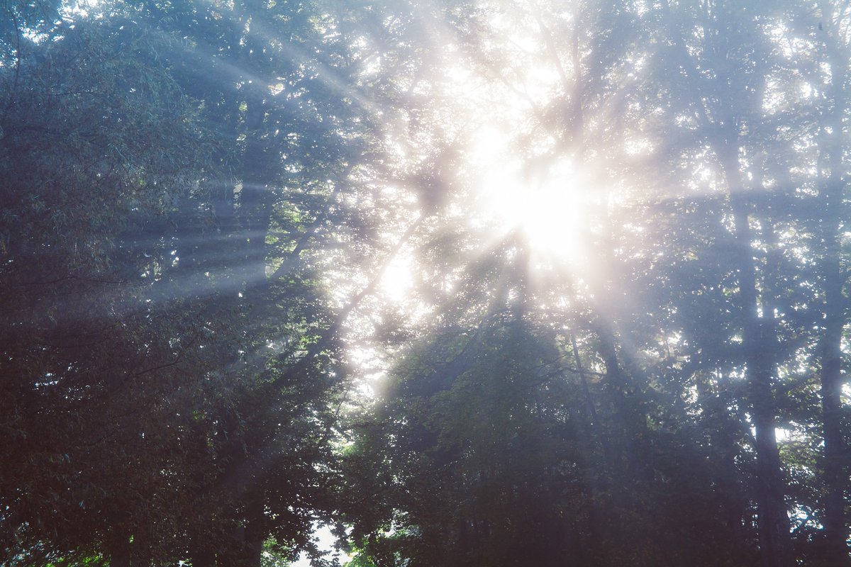 solvemyheadache's tweet photo. Do you find that the hot summer weather aggravates your headaches or migraines? We'd love to know how you cope this time of year! 💛☀️🧠

#solvemyhedache #headache #migraine #summer #wellbeing #health https://t.co/g94KZoYruc