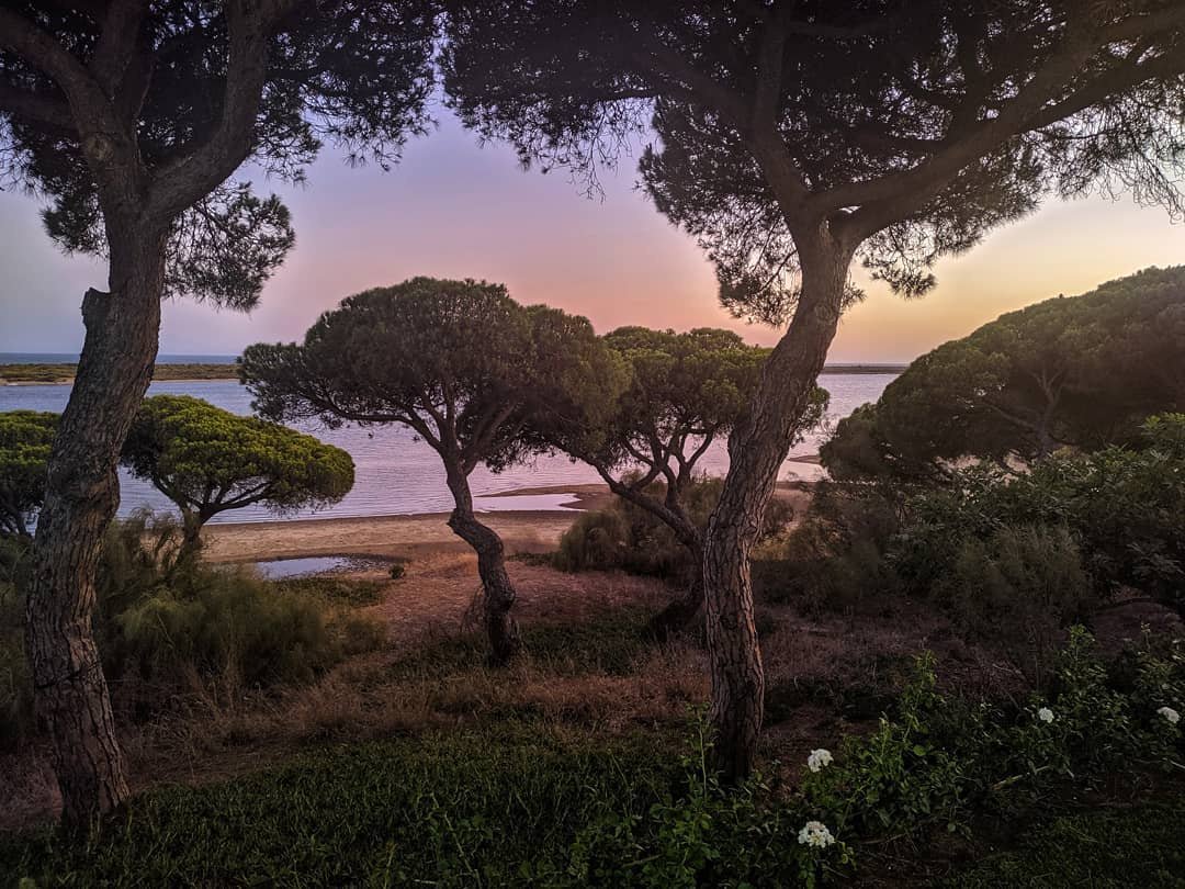 AndaluciayOle_ tweet picture