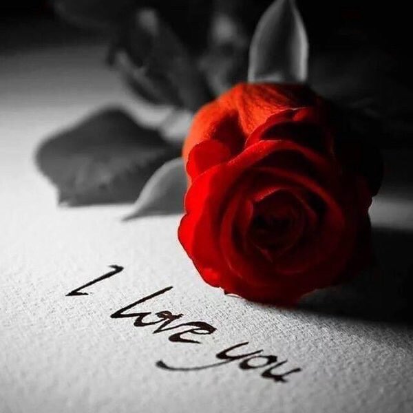 EstherBenito9's tweet photo. Y
escribir
también
es
acariciar

#BuenosDías
#FelízMartes https://t.co/7n9XQQo2ta