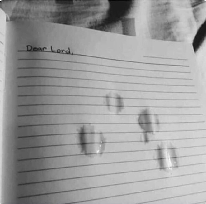 R86878112's tweet photo. اعتقد كتبت كل شي 💔🖤.. https://t.co/JkqMnj6foT