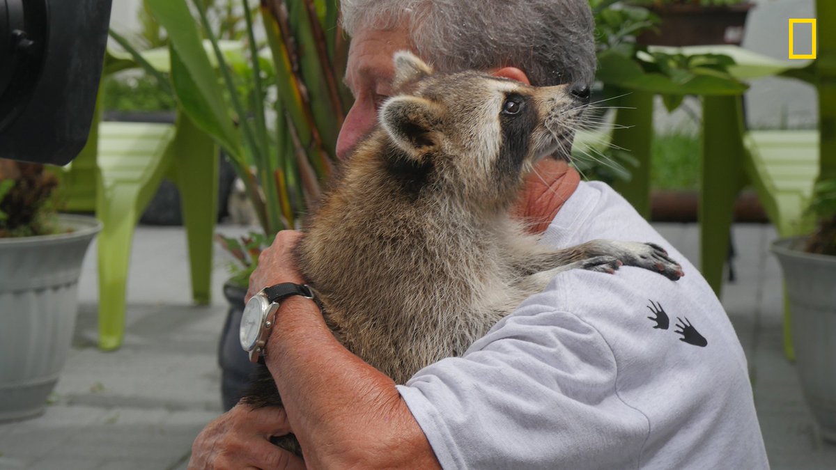 Dünya Arkadaşlık Günü kutlu olsun! #NationalGeographic #FriendshipDay