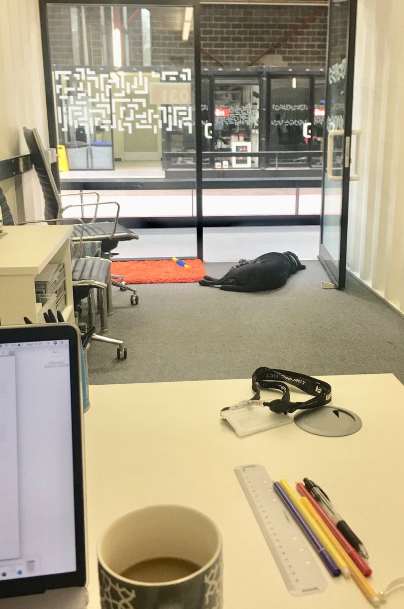 CCL_Digital's tweet photo. We've just opened another #digitaloffice @sharpproject and our new #AccountExec is sleeping on the job! We'll be having words with her when she wakes! #labsoftwitter
#discoveryourbusinesspotential #discoverccl #DigitalMarketing https://t.co/DD0gh0TNoJ
