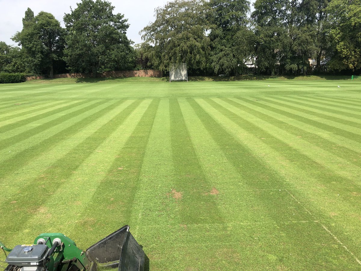 First summer on the new square put in by <a href="/CSportsTurf/">Chappelow SportsTurf</a>  last year and it’s looking great deader again with <a href="/HmSeedsAmenity/">Hurrells Seeds</a>  🙌