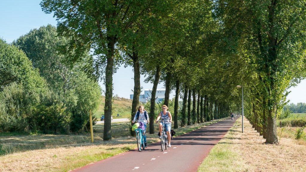 Invest in #CycleHighways and tap into the potential of #e-bikes

❗ Between 2012 and 2018 the share of EPACs (Electrically Power Assisted Cycles) on the F3 cycle highway in Belgium grew from 9% to 26%

Find out more here: ow.ly/DLY250vgnJc