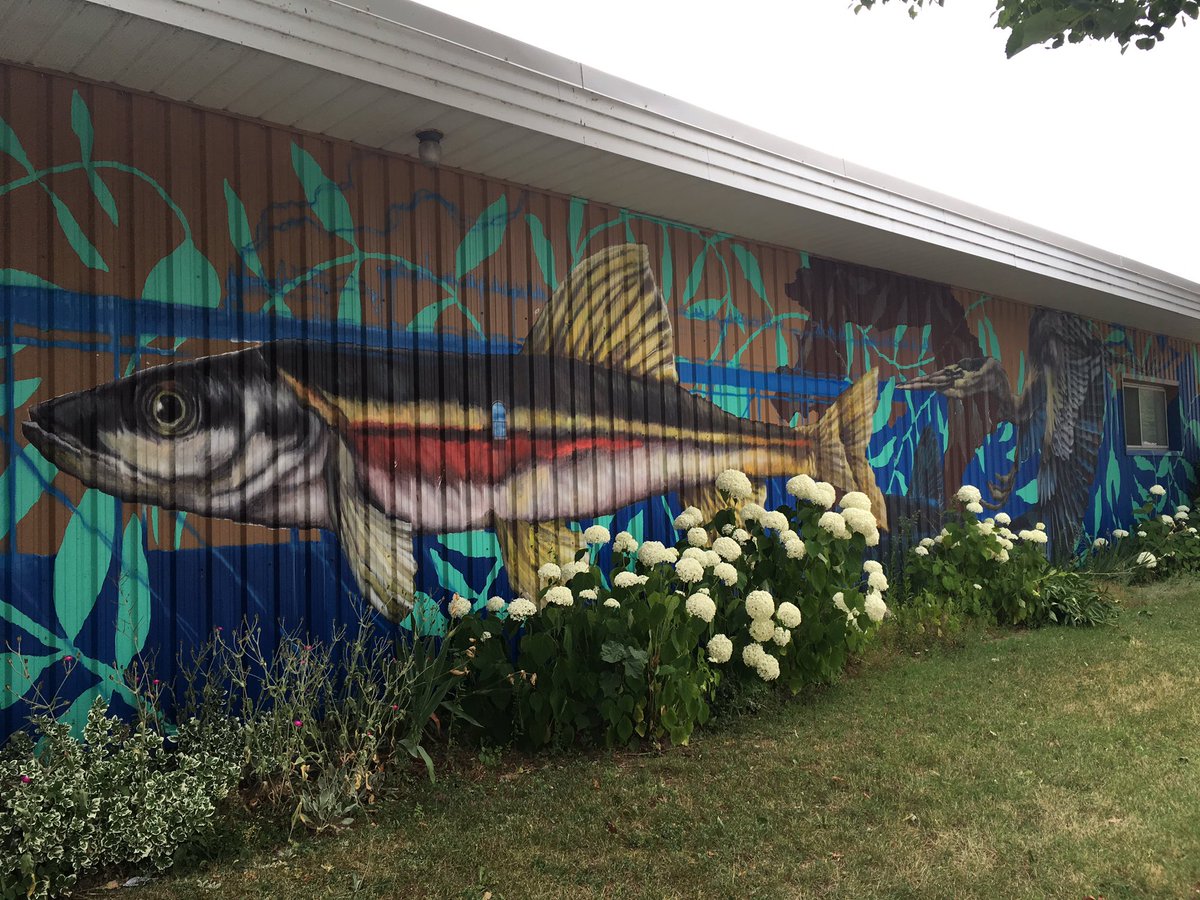 weRpossibility's tweet photo. Loved stopping by the beautiful Village of Paisley yesterday to visit the @LCBO during their campaign in support of United Way. Enjoyed chatting with Aaron & learning more about the store which has a stunning hand-painted mural. Thank U donors. Thank U LCBO. #BuyLocalGiveLocal https://t.co/VxKk28ZxG9
