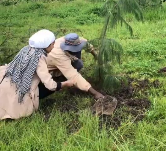 JenPeriodista's tweet photo. Etiopía, lo hizo. En 12 horas, plantó 353 millones de árboles. Los ciudadanos fueron convocados con “#GreenLegacy goal”, y lo lograron. Así lucha contra la deforestación. https://t.co/jM4zmIAEzB